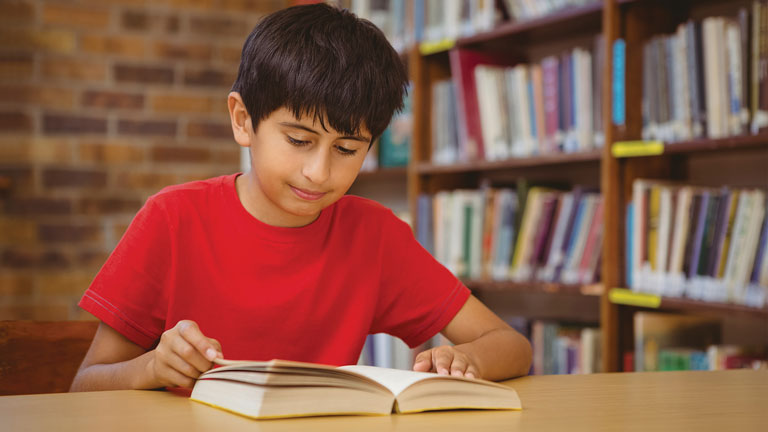 Habilidades Lectoras